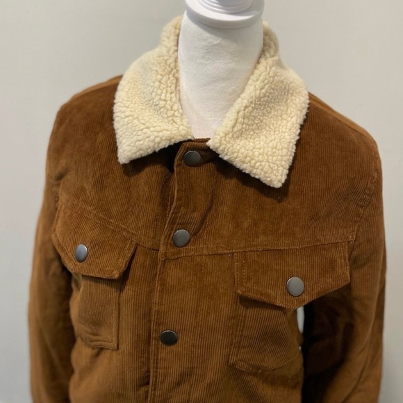 Express Corduroy Sherpa Lines Jacket - Picture 7 of 9